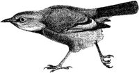 AMB149D.JPG