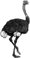 AMB124A.JPG