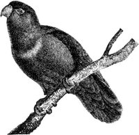 AMB116E.JPG