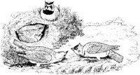 ABA024A.JPG