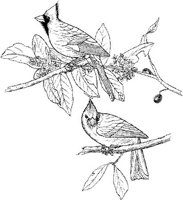 ABA005A.JPG