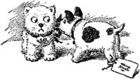 SIT085N.JPG