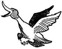 SIT077G.JPG