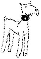 SIL121C.JPG