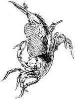 OFM027C.JPG