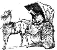 HVS116C.JPG