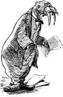 HVS114D.JPG