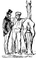 HDC013F.JPG