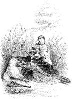 FIG159B.JPG