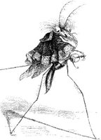 FIG155A.JPG