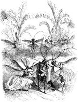 FIG153B.JPG