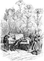 FIG142B.JPG
