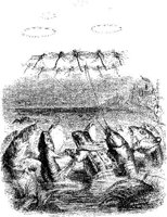 FIG123B.JPG