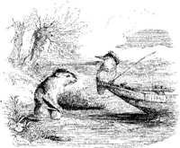 FIG115C.JPG