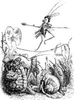 FIG104B.JPG