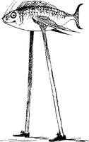 ELN013A.JPG