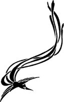 BSD020B.JPG