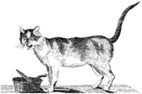 TAN015B.JPG