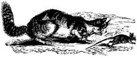 EAC020E.JPG