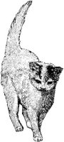 AMB027B.JPG