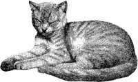 AMB026C.JPG
