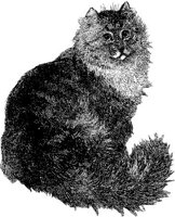 AMB025C.JPG