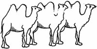 Sit078l.JPG