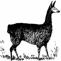 Sit075n.JPG