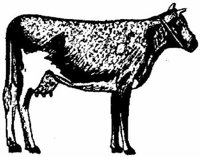 Sit075g.JPG