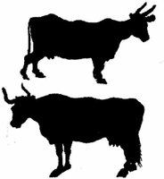 Msl087e.JPG