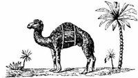 Eac014q.JPG