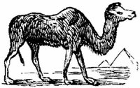 Eac014l.JPG
