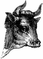 Eac009u.JPG