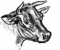 Eac009t.JPG