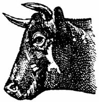 Eac009l.JPG