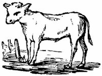 Eac009kk.JPG