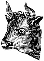 Eac009g.JPG