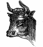 Eac009e.JPG