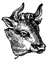 Eac009b.JPG