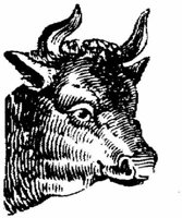 Eac009a.JPG