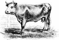 Eac008c.JPG