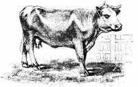 Eac008a.JPG