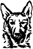 Sit086f.JPG