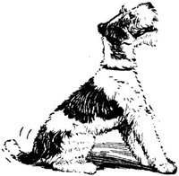 Sit085m.JPG