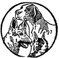 Sit085g.JPG