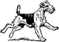 Sit084c.JPG