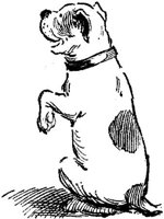 Sit084b.JPG
