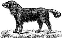 Eac020vv.JPG