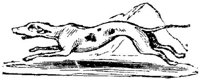 Eac020v.JPG