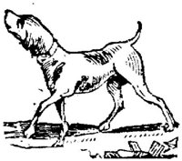 Eac020rr.JPG